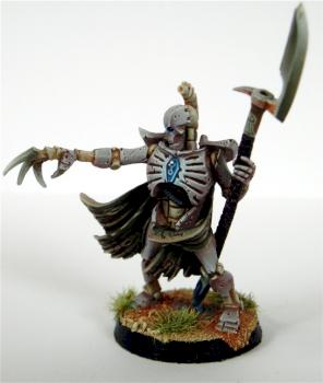 necron lord by F. Duclos