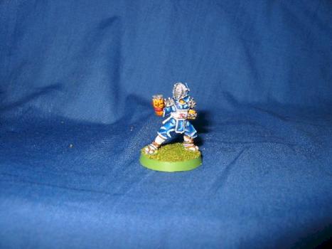 oshi komi champion bloodbowl by bubupowa