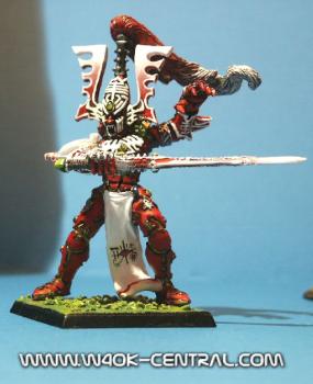 Avatar Eldar Saim-Hann by Anakin.w40k