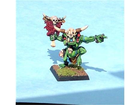 Warhammer Fantasy Orc Shaman by berniesbrush