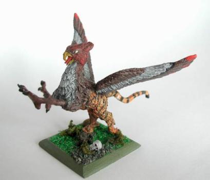Griffon by Imani