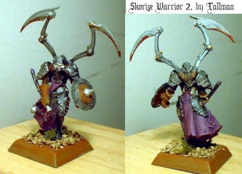 Skorize Warrior 2 by tallman