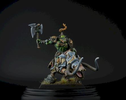 Animistic shaman on brontops by Nüb