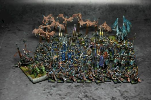 Dark Elves Army by Czopsquad