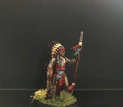 Native American Chief by Chris Larrabee