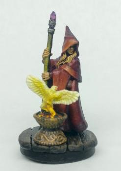 Anirion, Wood Elf Wizard by nofate