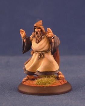 Reaper Miniatures Priest by Tidyfiguremaker
