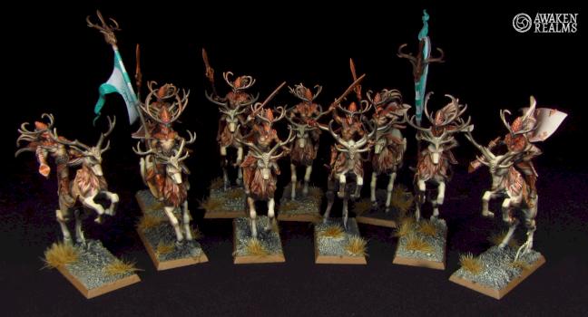 Wood Elves Wild Riders by Awaken Realms