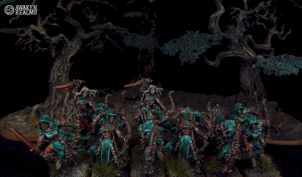 Wood Elves Waywatchers by Awaken Realms