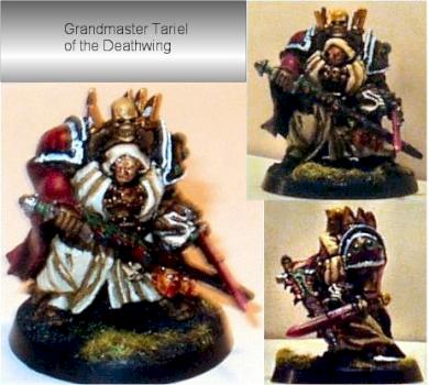 Grandmaster Tariel of the Deathwing by Tarindur