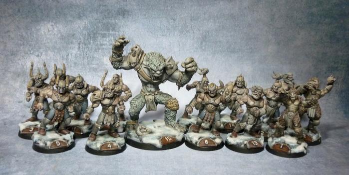 BLOOD BOWL 15 players NORDICS NORDIQUES converted pro painted by tyyler
