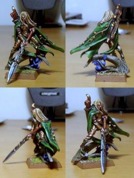 Wood Elf Highborn by WaterGate