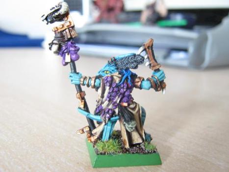 Skink priest by Mc Winnett