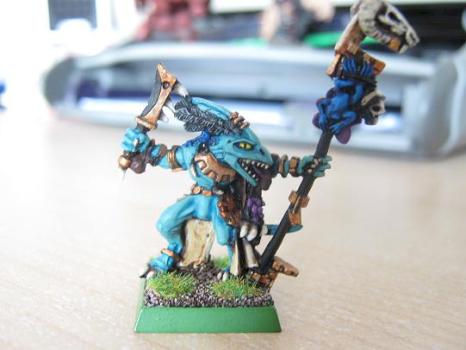 Skink priest by Mc Winnett