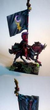 DARK ELVES BSB by WY ZNAWCA