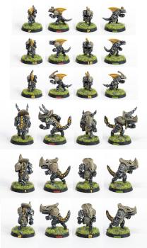 Blood bowl lizardmen team by Jude