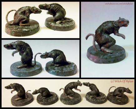 Rats by witchofhylair