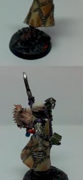 Dark Eldar Haemonculus by Wing