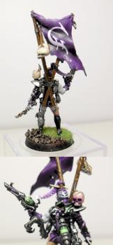 Dark Eldar Haemonculus by liketoshop247