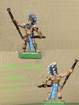 Wood Elves Mage on foot by rroghl