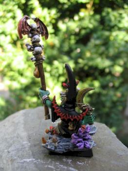 Night Goblin Shaman (back) by El Pollo Diablo