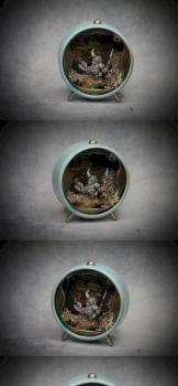 Mid Nor Dwarf by Matpaint
