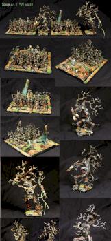 Nurgle WooD Army by Gruumsh