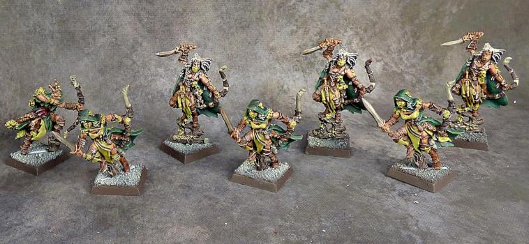 Wood Elves Waywatchers by Awaken Realms