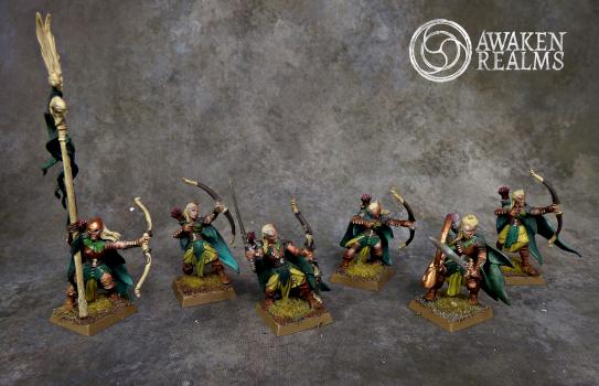Wood Elves Glade Guards by Awaken Realms