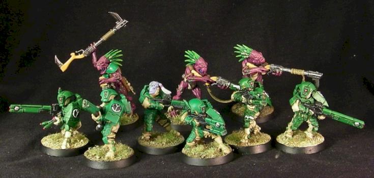 Tau Firewarriors and Kroot by Ardhir