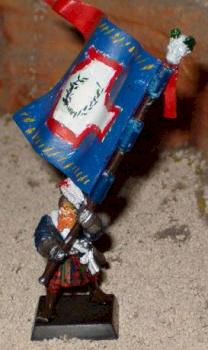 Empire Standard Bearer by landshaper