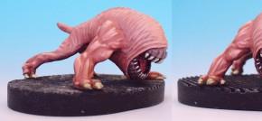 The Maw by Duff