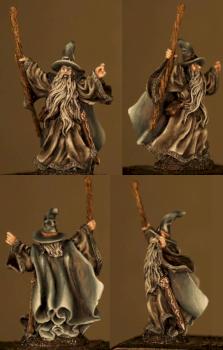 Galladon Wizard by Reaper by Takai Mar