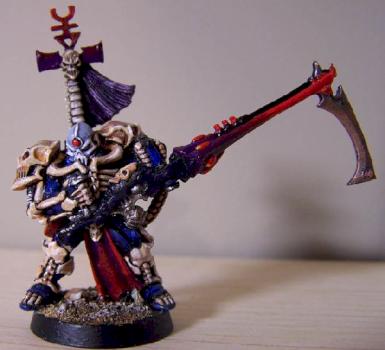 Eldar Exarch by Nate B