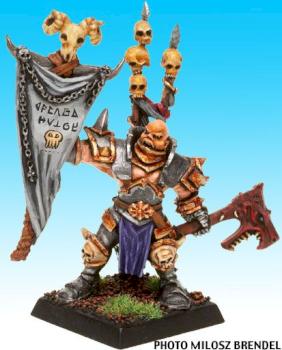 Aspiring Champion Battle Standard Bearer by swirt