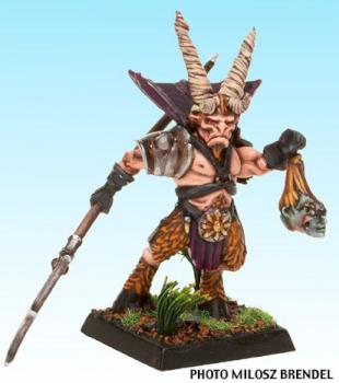 Bray Shaman by swirt