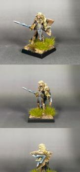 Reaper - Aviriel Tellerion Elf Paladin by patttttry85