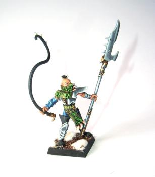 Maitre des bétes elfes noirs by Theloc