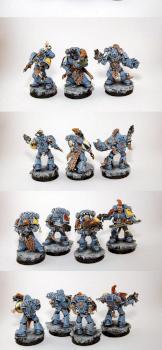 Space Wolves Pack by Ajnarus