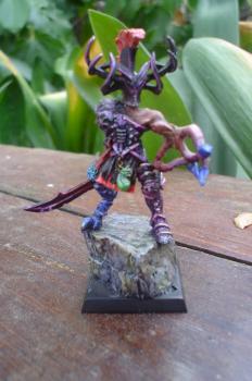Slaaneshi Champion converted by sybaris slaay