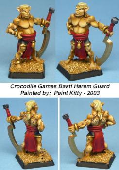 Basti Camp-Follower Harem Guard by Paint Kitty
