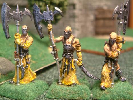 Hallebardiers de Dirz by tephan