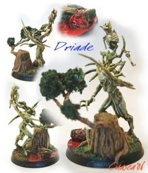 Driade by cuasca