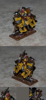 Questing Knight of Bretonnia by peloso