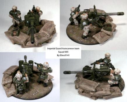 Imperial Guard Autocannon team by Elmo9141