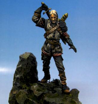 The Witcher by loler