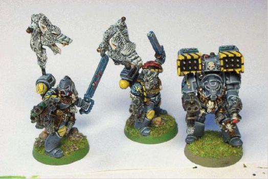 Wolf Guard Support by trollslayer