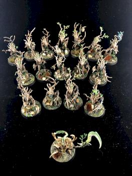 Sylvaneth Dryads by Dualkitsune