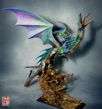 Dragon elfe by caiman
