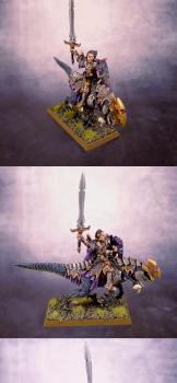 Dark Elf Dreadlord on Cold One by karrir